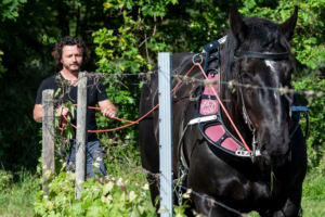 Franck Fourcade, vigneron près de Bordeaux.